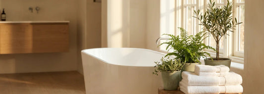 Black Ring Around Your Bathtub? Here's What's Causing It - RKIN