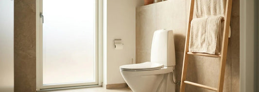 Brown Stains in Your Toilet Bowl? Iron in Well Water Explained - RKIN
