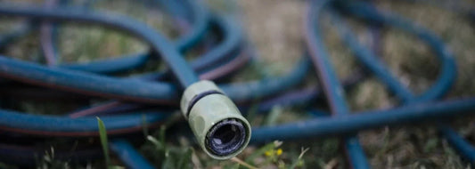 Can I Water My Lawn With Softened Water? Homeowner Guide - RKIN
