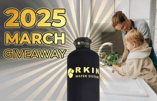 RKINⓇ March 2025 Whole House Carbon Water Filter System (1-3 Bathrooms) Giveaway - RKIN