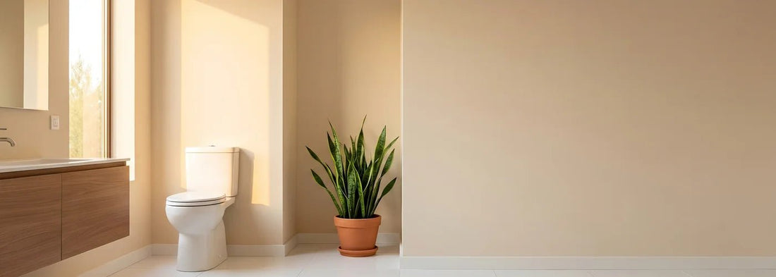 White Powder at the Base of Your Toilet? Here's Why - RKIN