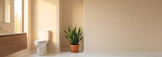 White Powder at the Base of Your Toilet? Here's Why - RKIN