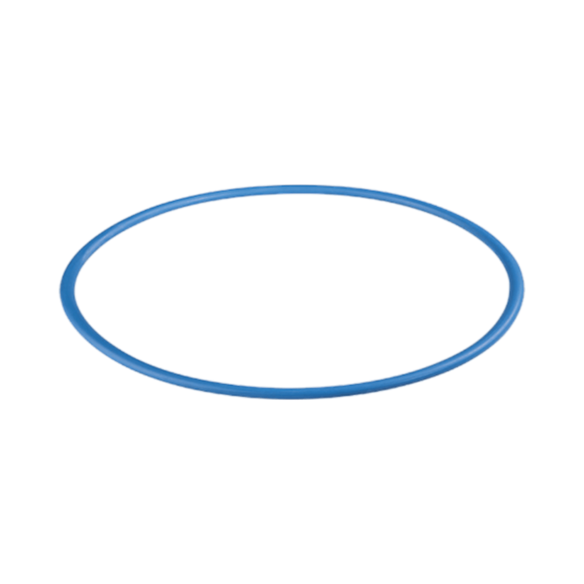 O-Ring For ZEE PRO Filter Housing - RKIN